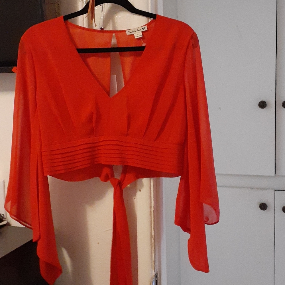 Cropped Red Silky Top